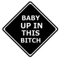 Baby Up in This B!tch Car Decal