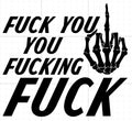 F You You F-ing F Car Decal